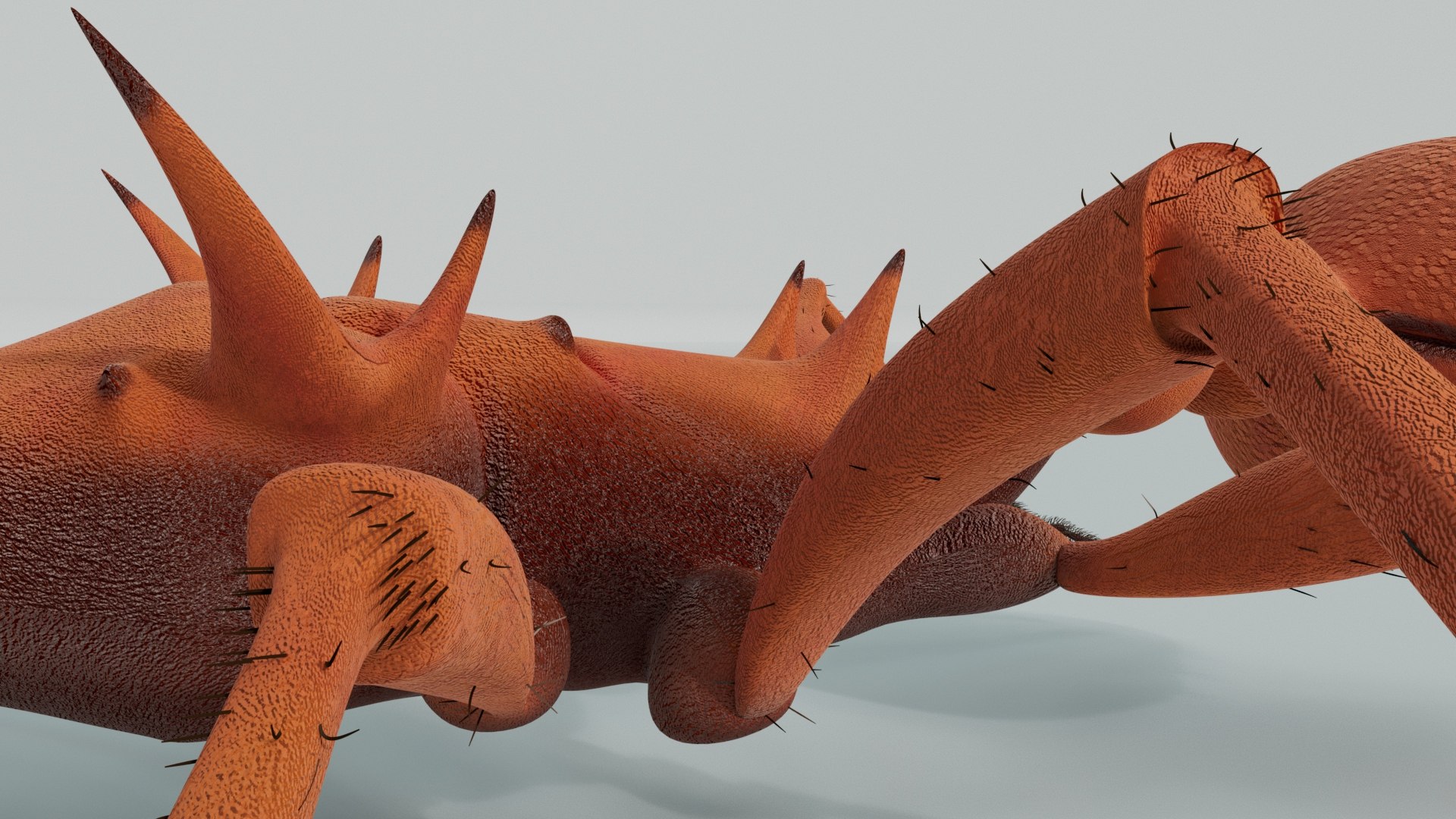 Relastic Daceton Armigerum Ant Rigged Animated 8K Textures 3D model https://p.turbosquid.com/ts-thumb/Y4/ywZ2C3/uT/4a/jpg/1744528382/1920x1080/fit_q87/ef2242ee8fa61ad3ab4982b30b73fcf3ad35b806/4a.jpg