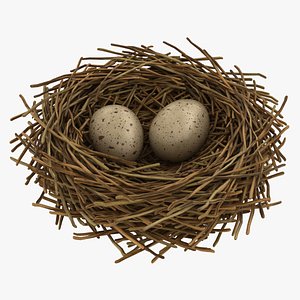 realistic bird nest 02 model