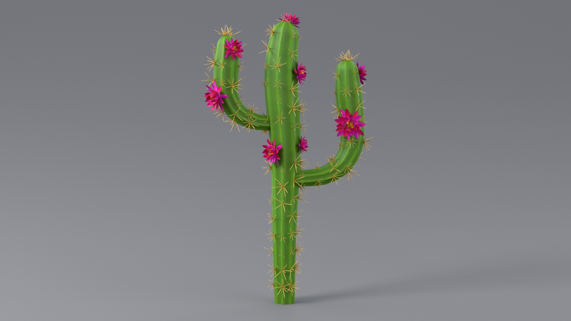 3D Cartoon Cactus 05 model https://p.turbosquid.com/ts-thumb/Y5/9BjPfZ/IT/cactusfivetba/jpg/1659606393/1920x1080/turn_fit_q99/ce862094dac0242f0f439c06c278b9a074ec04cc/cactusfivetba-1.jpg