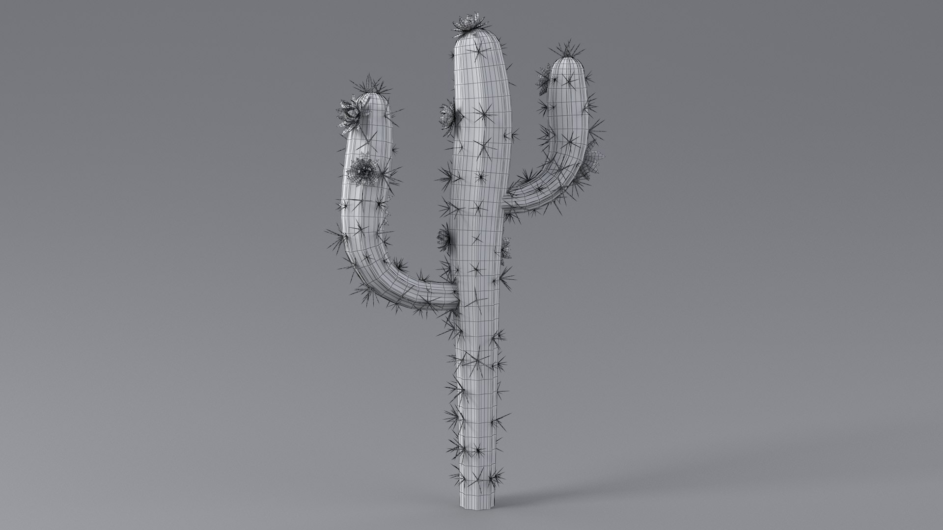 3D Cartoon Cactus 05 model https://p.turbosquid.com/ts-thumb/Y5/9BjPfZ/Iv/cactus_five_10/jpg/1659606391/1920x1080/fit_q87/6b22736a90ddbeec8a34b6303044699d3f618b0e/cactus_five_10.jpg