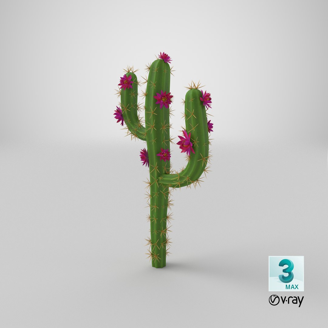3D Cartoon Cactus 05 model https://p.turbosquid.com/ts-thumb/Y5/9BjPfZ/Up/stemcell_max_vray_render/png/1659606662/1920x1080/fit_q87/8fdd49a3656061962db9bf851f1265a6a714d930/stemcell_max_vray_render.jpg