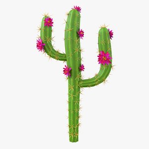 3D Cartoon Cactus 05 model