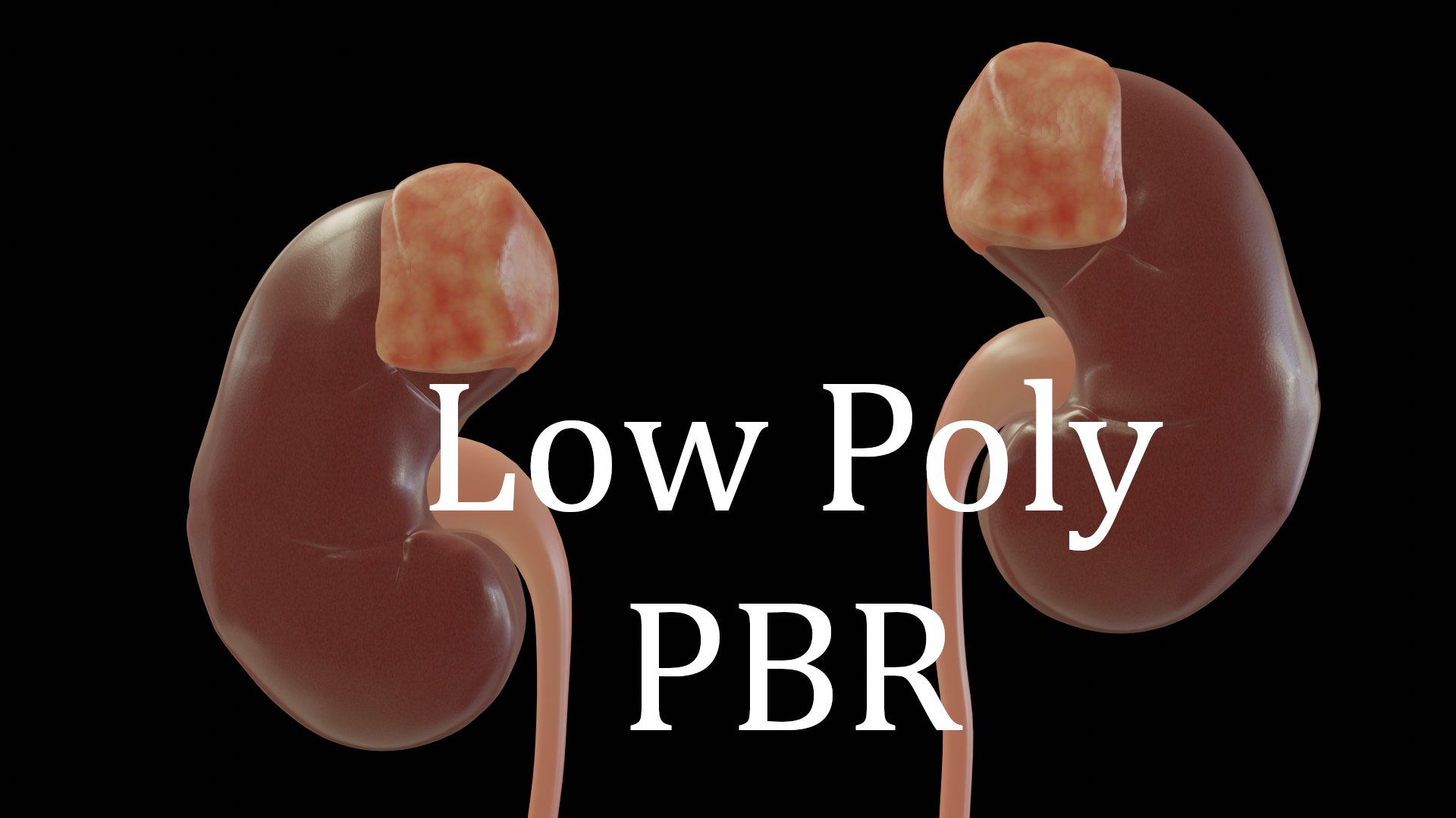 urinary model https://p.turbosquid.com/ts-thumb/Y5/J2edbl/1tlRgOhH/portada_firsr/png/1567716088/1920x1080/fit_q87/da53471ff7d074eb4de7f431139b60ef9088dbeb/portada_firsr.jpg
