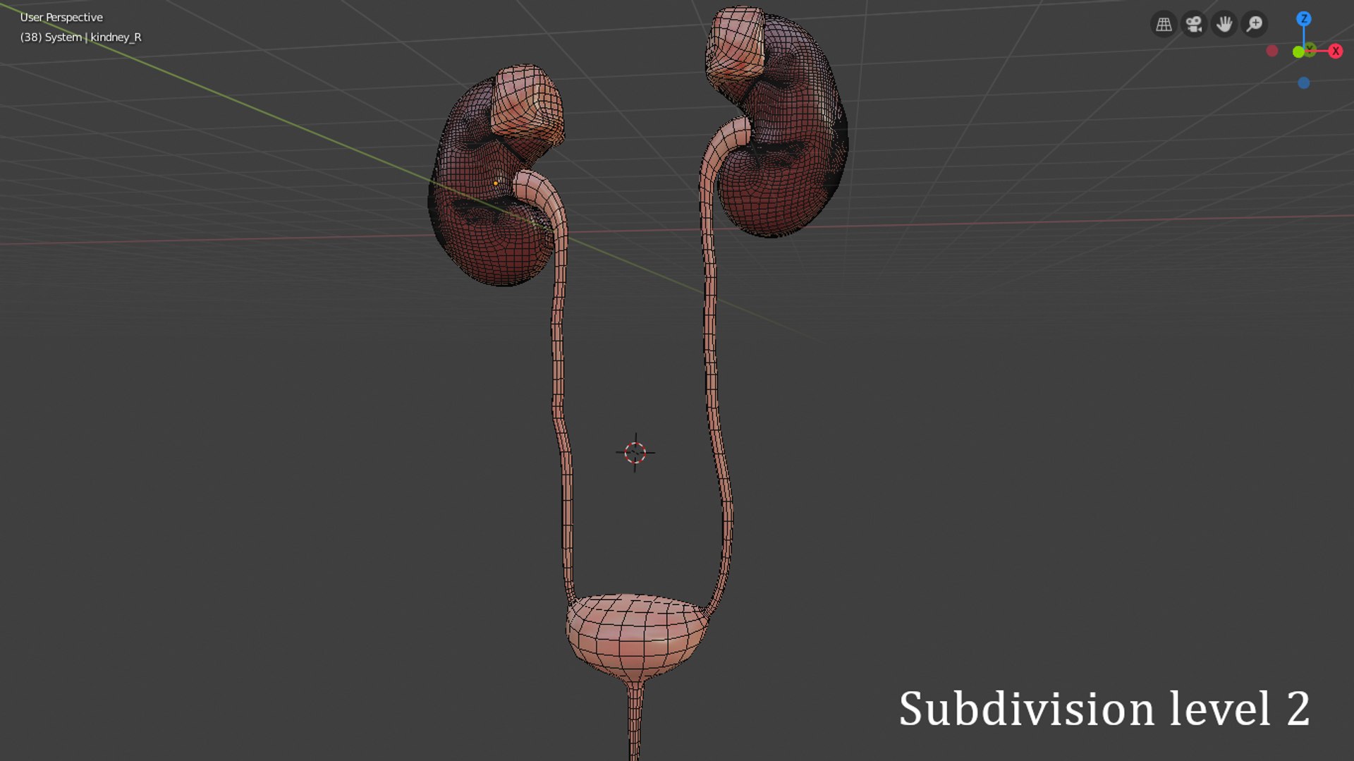 urinary model https://p.turbosquid.com/ts-thumb/Y5/J2edbl/I0HFSX4n/level2/png/1567716155/1920x1080/fit_q87/9079f4d7acc140e514bbc900641f28d3ecff93c9/level2.jpg