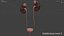 Urinary System