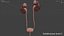 Urinary System