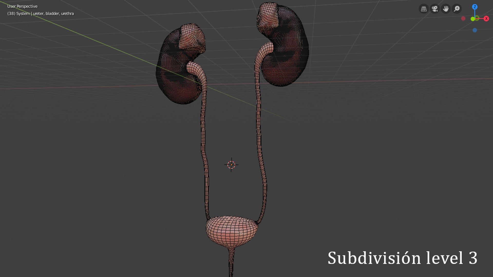 urinary model https://p.turbosquid.com/ts-thumb/Y5/J2edbl/ivgGXuBn/level3/png/1567716145/1920x1080/fit_q87/11fa4c5672a7bfac3c6e5dfc7d9b4b1de5eb122e/level3.jpg
