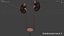 Urinary System