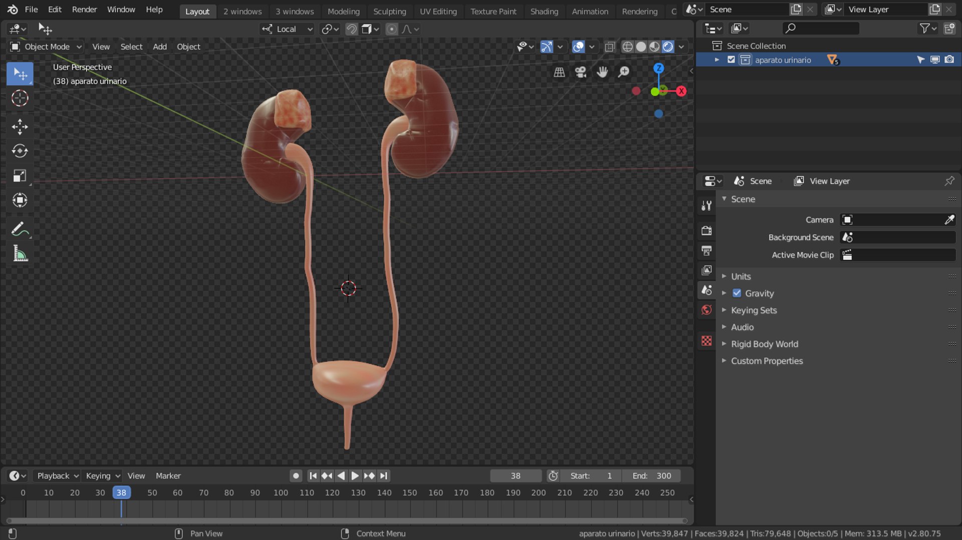 urinary model https://p.turbosquid.com/ts-thumb/Y5/J2edbl/rLP39ZMh/enpc/png/1567716174/1920x1080/fit_q87/81edbfeefc7d7c7cbb3a7ff2f525b5f60292ce61/enpc.jpg
