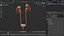 Urinary System