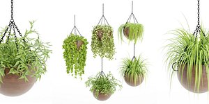 Hanging plant indoor collection vol 41-Blender 3D model