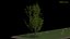 tree 3D model