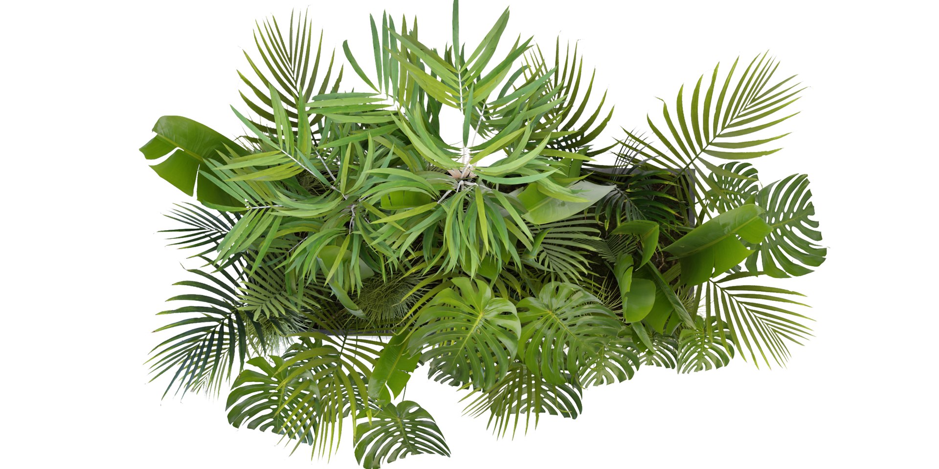 Collection plant vol 300 - blender model 3D model https://p.turbosquid.com/ts-thumb/Y5/Wz79gC/5s/6/jpg/1688484328/1920x1080/fit_q87/bdeac751a293535e5541e280310acbfa3d98c786/6.jpg