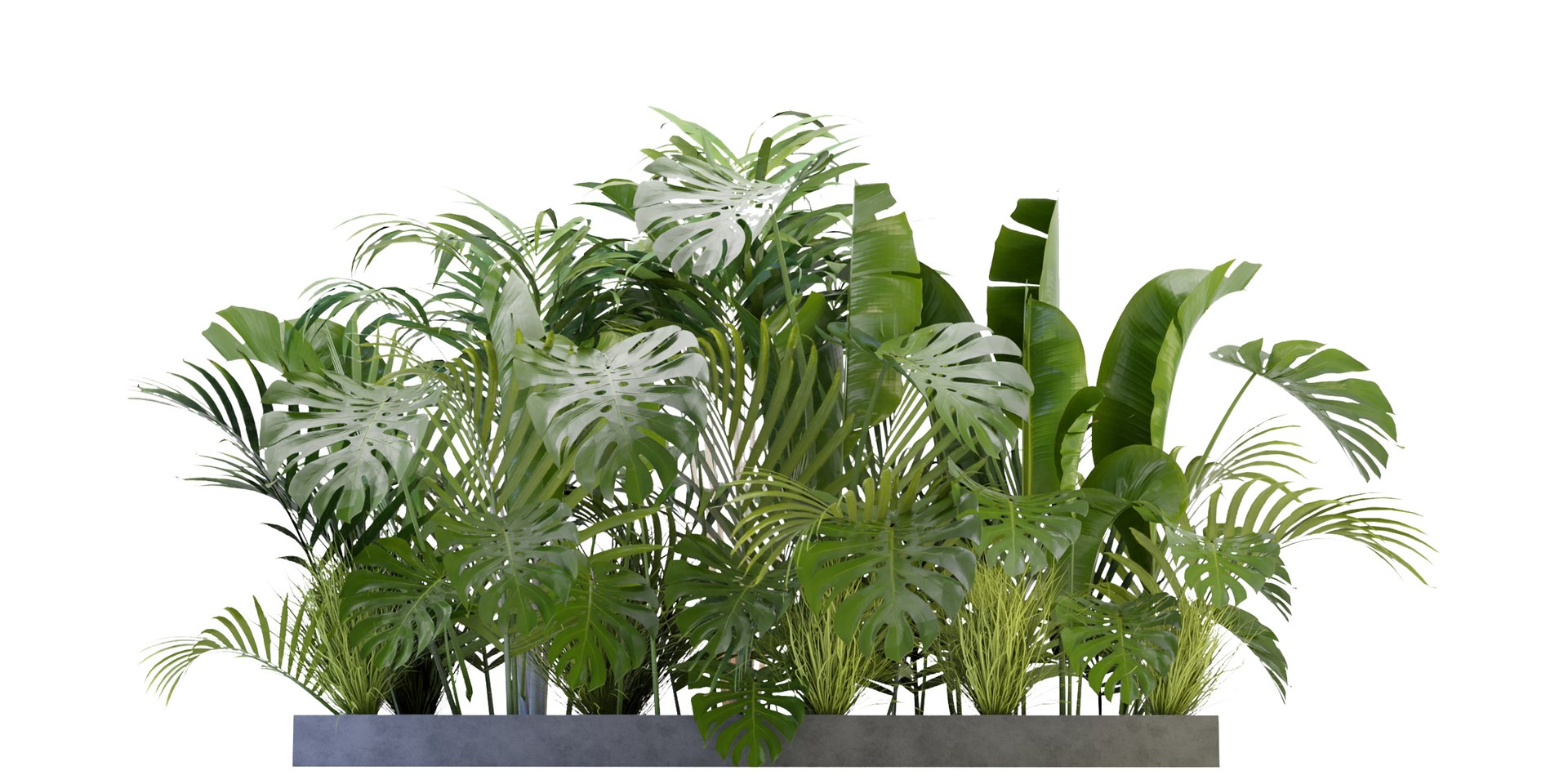 Collection plant vol 300 - blender model 3D model https://p.turbosquid.com/ts-thumb/Y5/Wz79gC/HZ/2/jpg/1688484326/1920x1080/fit_q87/54bf8285a72f2ba37ee1d106c825f2a72e1d0784/2.jpg