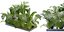 Collection plant vol 300 - blender model