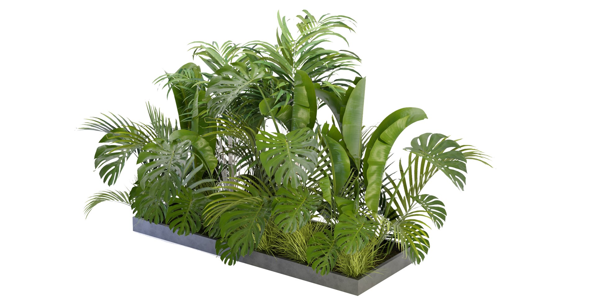 Collection plant vol 300 - blender model 3D model https://p.turbosquid.com/ts-thumb/Y5/Wz79gC/kW/5/jpg/1688484327/1920x1080/fit_q87/bc387ac8c0f91a1db285489b8a6836bfe63833b7/5.jpg