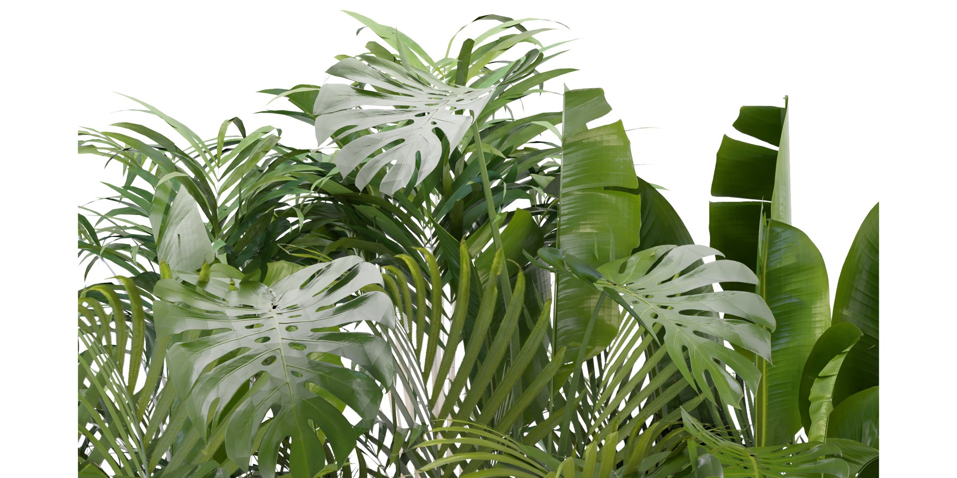 Collection plant vol 300 - blender model 3D model https://p.turbosquid.com/ts-thumb/Y5/Wz79gC/w2/3/jpg/1688484326/1920x1080/fit_q87/ab0a260b0d6b2f474aad60ba86982ed1979c4303/3.jpg