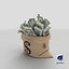 3D Money Bag V18