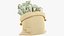 3D Money Bag V18