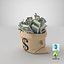 3D Money Bag V18