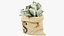 3D Money Bag V18