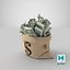 3D Money Bag V18