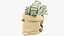 3D Money Bag V18