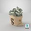 3D Money Bag V18