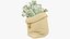 3D Money Bag V18