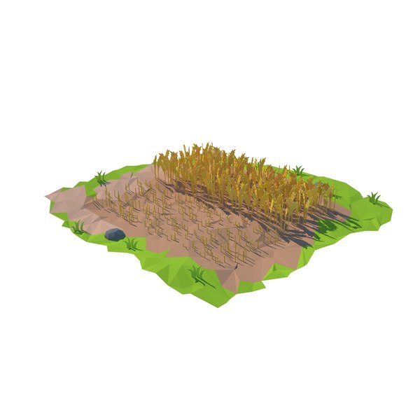 3d cartoon field