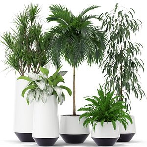 3D plants 374