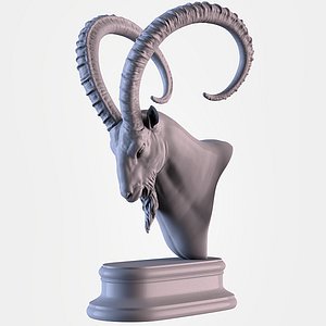 Ibex Head