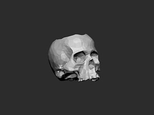 3D Skull pot low poly version