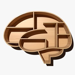 3D Brain Shelves