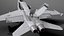 McDonnell Douglas FA-18C Hornet rigged