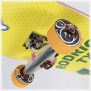 Skateboard and Skate Decks 3D model