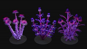 Alien plants flowers R3 3D model