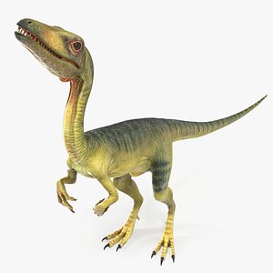 dinosaur compsognathus worried pose 3D model