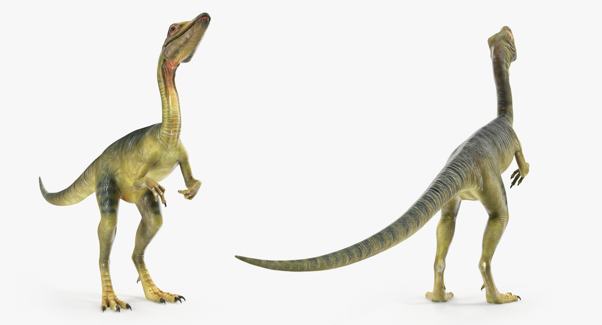 Pose de dinossauro Compsognathus Modelo 3D - TurboSquid 1284707