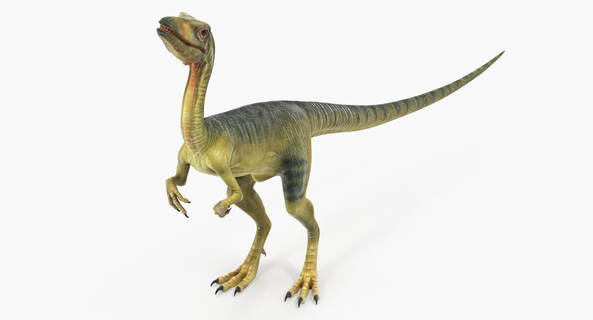 Compsognathus Dinosaur Run Pose 3D Model 3D Model $139 - .3ds .c4d .fbx .ma  .obj .max - Free3D