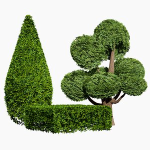 Detailed Conifer  Lush Bush model