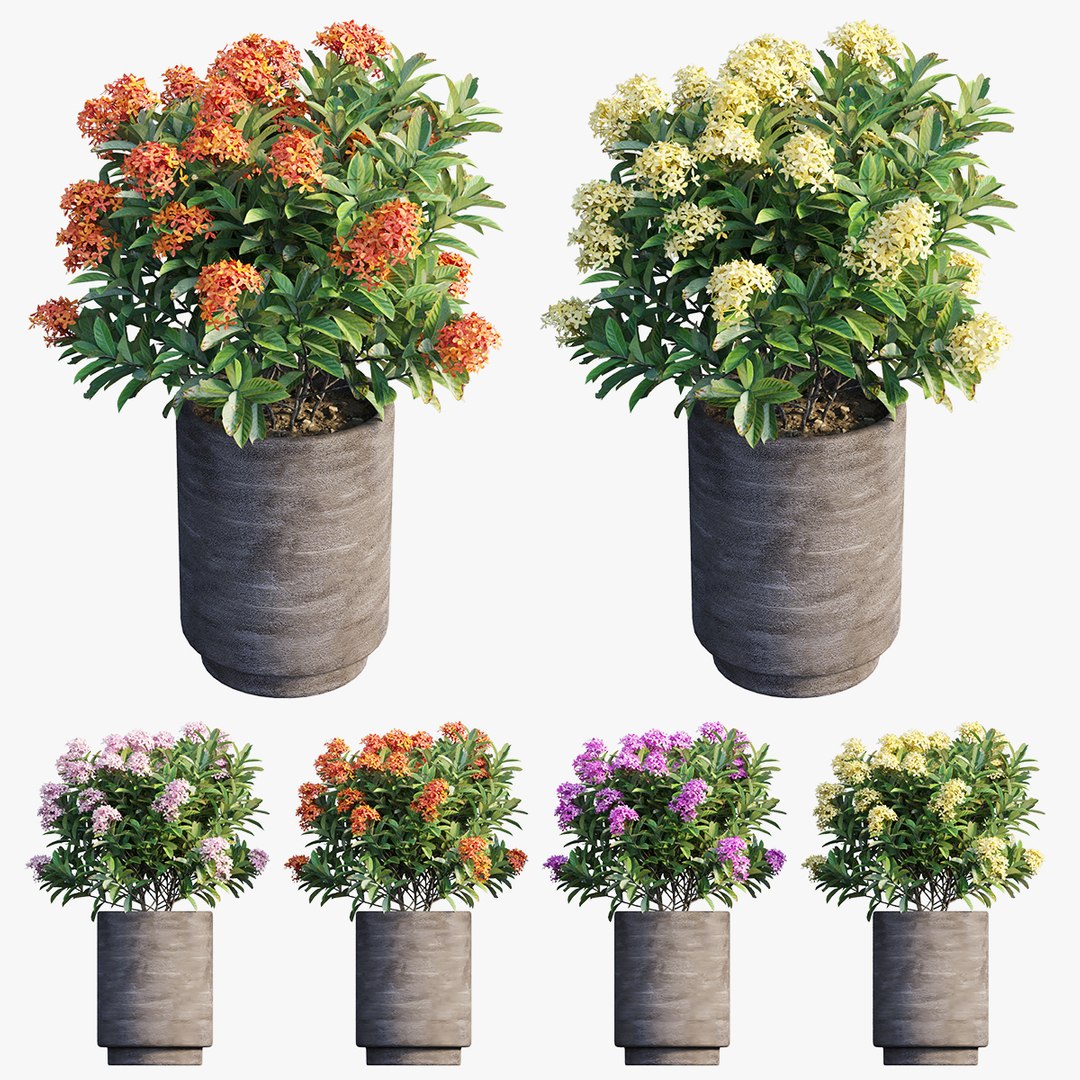 3D plant pot model https://p.turbosquid.com/ts-thumb/Y7/8u5ge6/k5/0/jpg/1604600136/1920x1080/fit_q87/31646358efe05d5ba9de55af5d0e5cb9a5d6b409/0.jpg