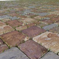 Stone Pavement Grass Floor park garden restaurant outside outdoor outside seating terrace location gone desolate abandoned deserted forsaken countryside plant moss (2)