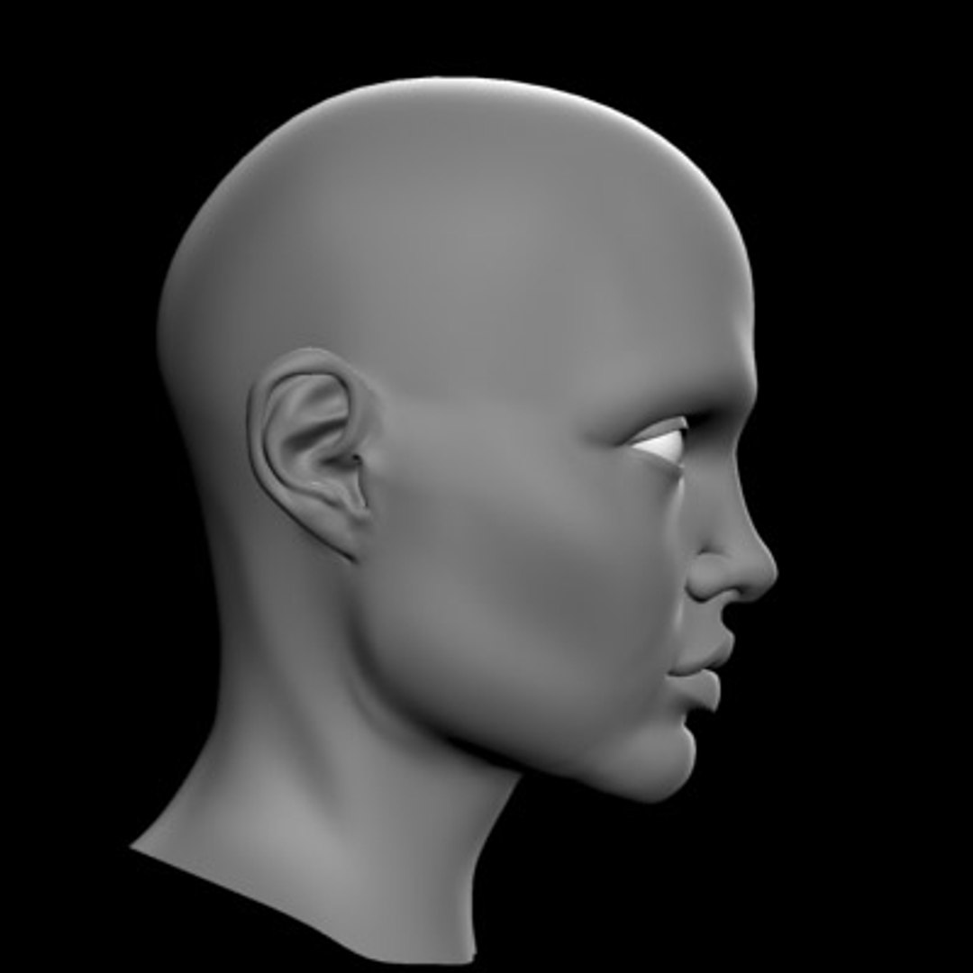 Female Head 3d Model