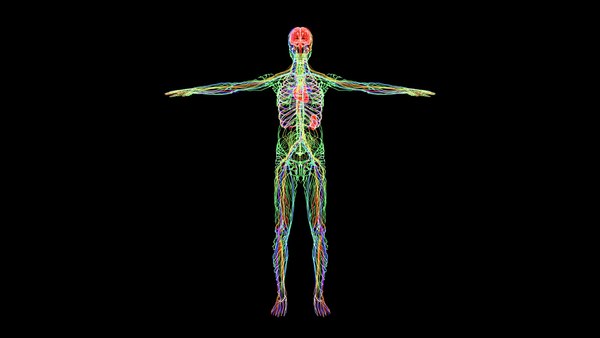 Good Vices That Benefit Our Health