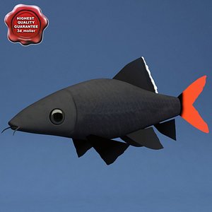 3d labeo bicolor v2
