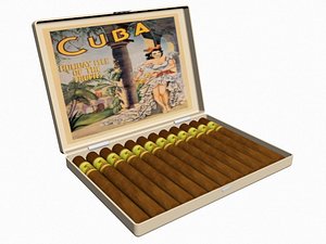Cigar Case