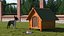 Dog Houses Collection