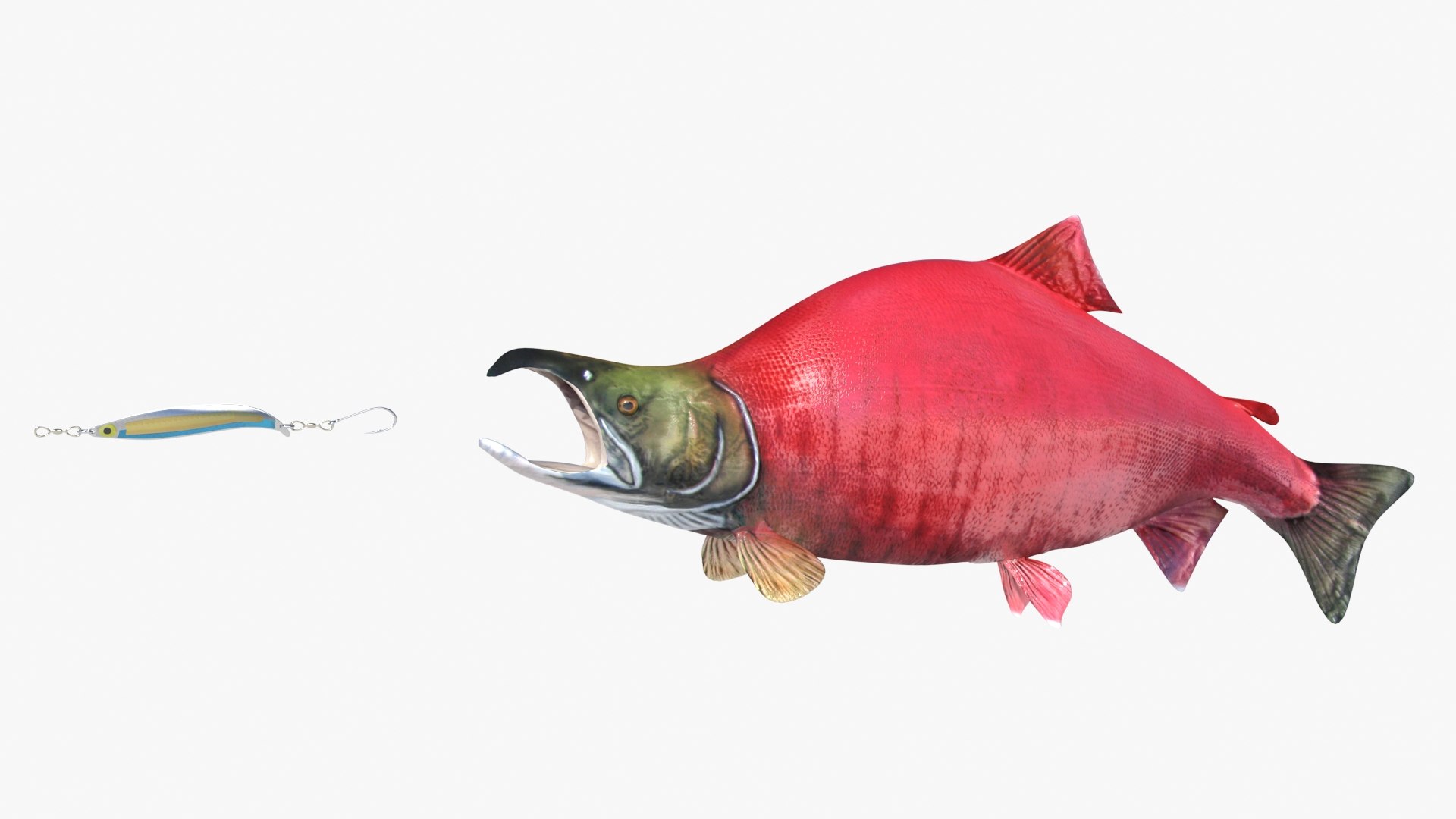 3D Sockeye Salmon Fish - TurboSquid 1693622