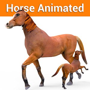 3D horse animation